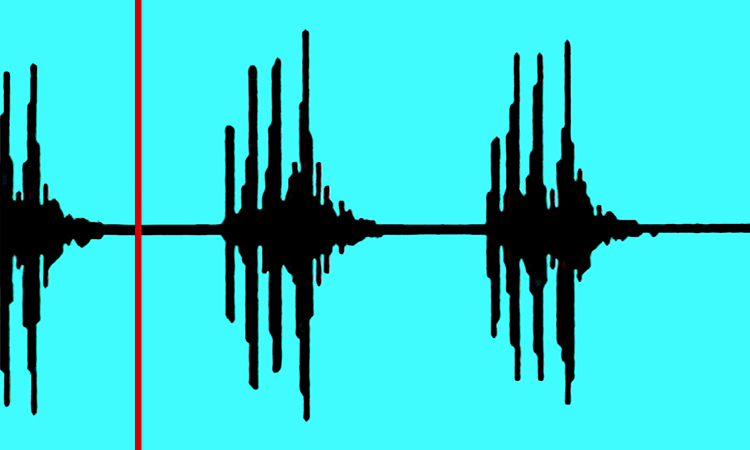 La communication chez le Grillon - les stridulations - 5mn 50s